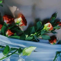 em xinh