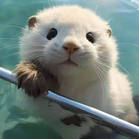 Hải Ly-Hệ thống