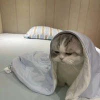 Tác giả viết truyện dở ẹt=)