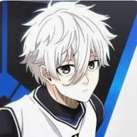 Nagi sei