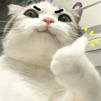 A.tt