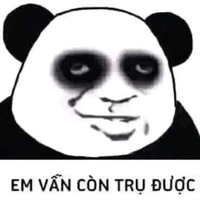 n.anh