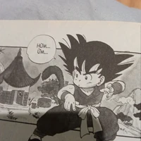 goku