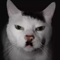 𝓗𝒶𝓃𝒶𝓚𝓸