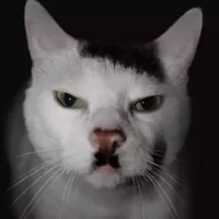 𝓗𝒶𝓃𝒶𝓚𝓸