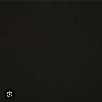 assassin cameraman 
