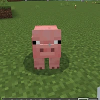 hệ thống đáng yêu❤