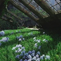 tất cả mn(- người cần trừ)