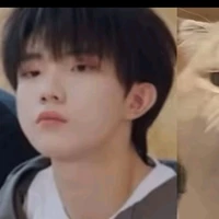 Tô Tân Hạo