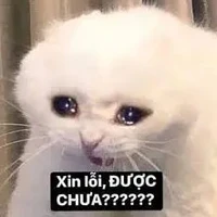Nguyễn Hoàng Gia Bảo