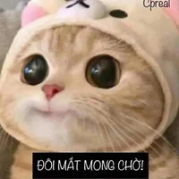 Trương Minh Tố Diễm (Na)