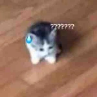 Cân mọi Nhân vật