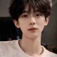 Hàn Nam ( ARI)