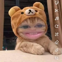 zuin nhỏ tg nè 😞