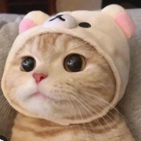 Hệ thống như l