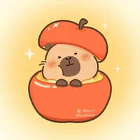 Zapy zô tri