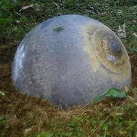 Vật thể lạ "4 chân"