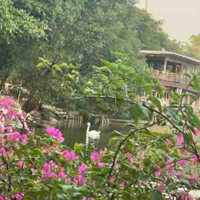Quang(thầy thể dục)