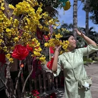 tiên giáng trần