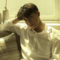 Phạm Đình Thái Ngân