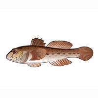Thành Long