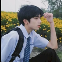 Ngọc Trịnh Luân