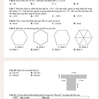 Đội thám tử nhí