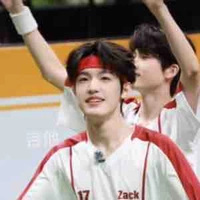 Trương trạch vũ  