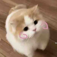 Tác giả 