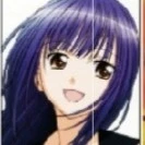 nadesuko fuidaiki