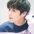 Hoàng Thiên Dương