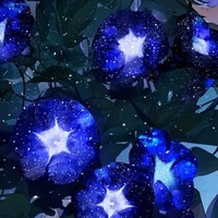 All (Trừ Những Ai Cần Trừ)