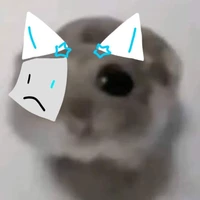 t/g xàm cưk