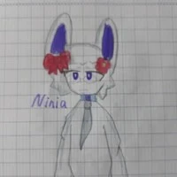 ninia(đ/g)