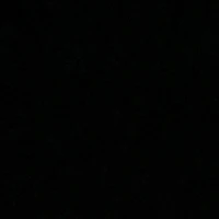 Đa nv
