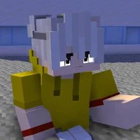 Vid