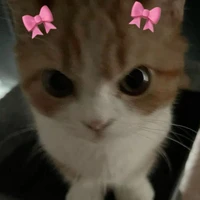 tác giả đây