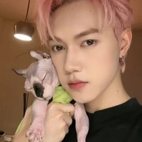 Nguyễn Thái Sơn_Jsol