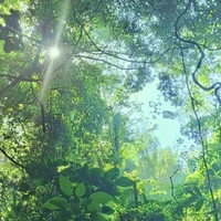 ~• Hệ Thống •~