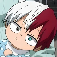 todoroki shoto