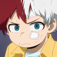 todoroki touya