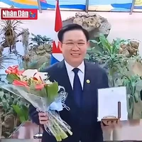 Vương Đình Huệ