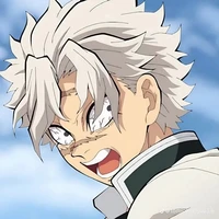 Shinazugawa Sanemi