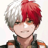 shoto todoroki