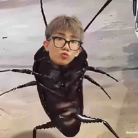 t/g cute