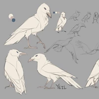 white crow