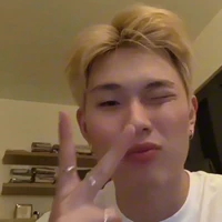 Dương Domic