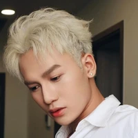 Nguyễn Ngọc Dương (Ali Hoàng Dương): A