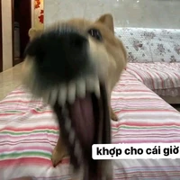Jiyuun (T/g)