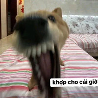 Jiyuun (T/g)
